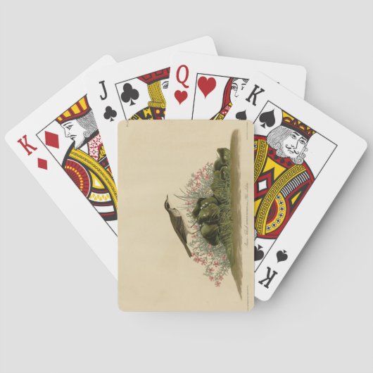 Prairie Titlark (Pipit) Audubon's Birds of America Pokerkaarten (Achterkant)