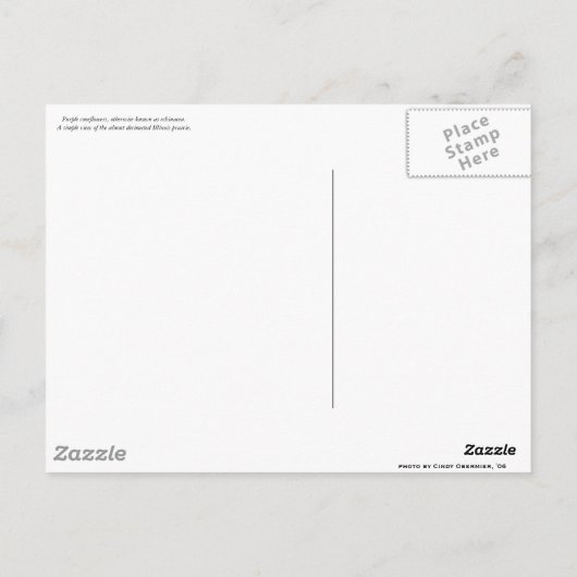 Prairie Uitzichten Briefkaart (Achterkant)