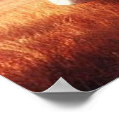 Prairie Vuur en Zwart Paard Poster (Hoek)