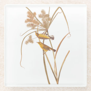 Prairie Warbler Audubon Yellow Bird Glazen Onderzetter