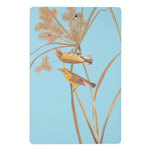 Prairie Warbler Audubon Yellow Bird Mini Klembord (Achterkant)