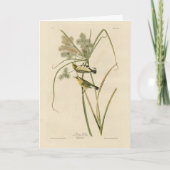 Prairie Warbler uit Audubon's Vogels van Amerika Kaart (Voorkant)