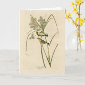 Prairie Warbler uit Audubon's Vogels van Amerika Kaart (Gele Bloem)