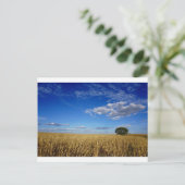 Prairie Wheat and sky Briefkaart (Staand voorkant)
