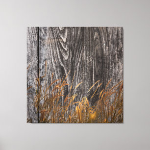 Prairie Wheat on Barn Board Canvas Afdruk