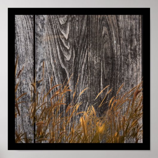 Prairie Wheat on Barn Board Poster (Voorkant)