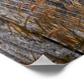 Prairie Wheat on Barn Board Poster (Hoek)