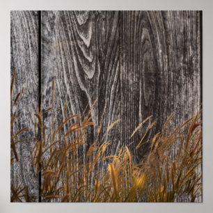 Prairie Wheat on Barn Board Poster