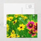Prairie wilde bloemen in Hill Country Briefkaart (Voorkant / Achterkant)