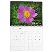 Prairie Wildflower Calendar Kalender (Feb 2027)
