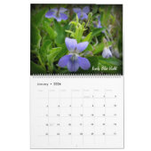 Prairie Wildflower Calendar Kalender (Jan 2026)