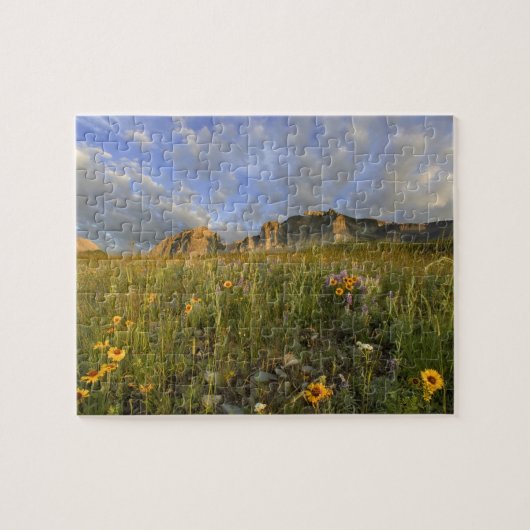 Prairie Wildflower in Vele gletsjervallei Legpuzzel (Horizontaal)