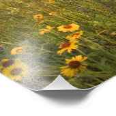 Prairie Wildflower op Windy Creek in de Velen Foto Afdruk (Hoek)