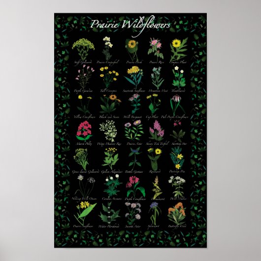Prairie Wildflower Poster (Voorkant)