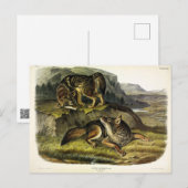 Prairie Wolf (Coyote) van Audubon's Quadrupeds Briefkaart (Voorkant / Achterkant)