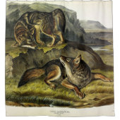 Prairie Wolf (Coyote) van Audubon's Quadrupeds Douchegordijn (Voorkant)