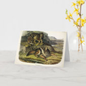 Prairie Wolf (Coyote) van Audubon's Quadrupeds Kaart (Gele Bloem)