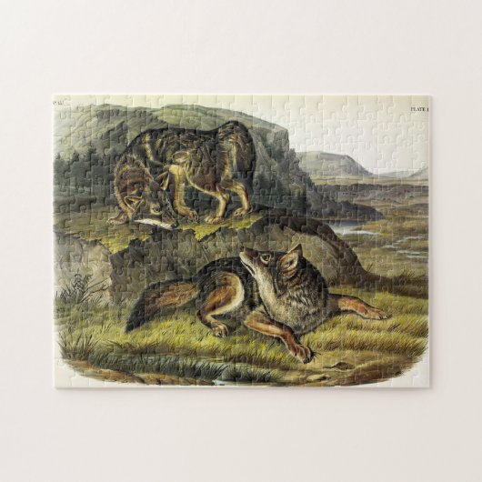 Prairie Wolf (Coyote) van Audubon's Quadrupeds Legpuzzel (Horizontaal)