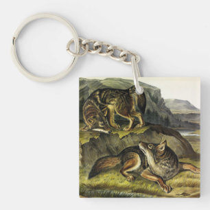 Prairie Wolf (Coyote) van Audubon's Quadrupeds Sleutelhanger