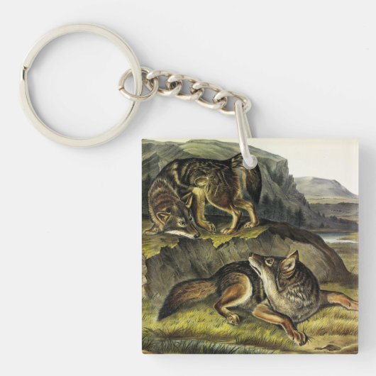 Prairie Wolf (Coyote) van Audubon's Quadrupeds Sleutelhanger (Voorkant)