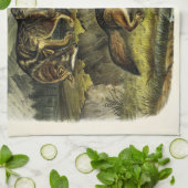 Prairie Wolf (Coyote) van Audubon's Quadrupeds Theedoek (Gevouwen)