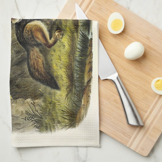 Prairie Wolf (Coyote) van Audubon's Quadrupeds Theedoek (Quarter Fold)