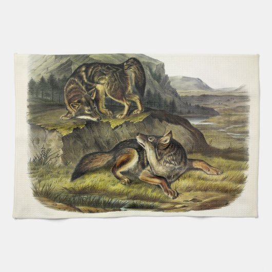 Prairie Wolf (Coyote) van Audubon's Quadrupeds Theedoek (Horizontaal)