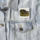 Prairie Wolf (Coyote) van Audubon's Quadrupeds Vierkante Button 5,1 Cm (In situ)