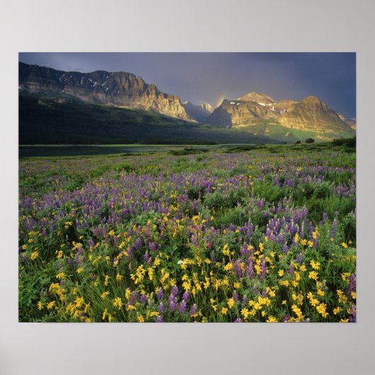 Prairiebloemen vullen weide bij meer poster (Voorkant)