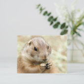 Prairiedog Briefkaart (Staand voorkant)