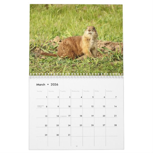 Prairiehond 2026 12 maanden Kalender (Mar 2026)