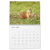Prairiehond 2026 12 maanden Kalender (Mar 2027)