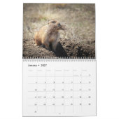 Prairiehond 2026 12 maanden Kalender (Jan 2027)