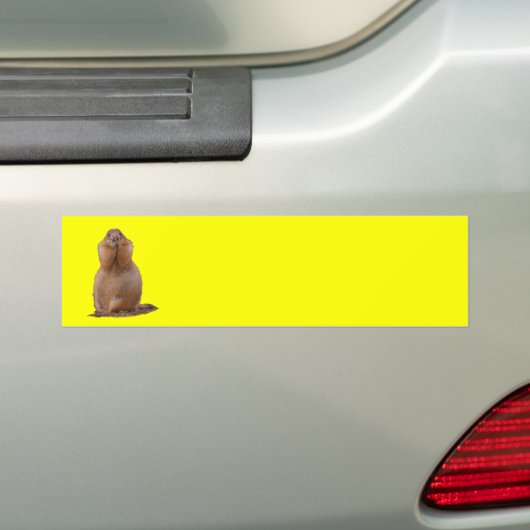 prairiehond bumpersticker (Op auto)
