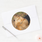 prairiehond ronde sticker (Envelop)