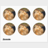 prairiehond ronde sticker (Vel)