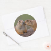 prairiehond ronde sticker (Envelop)