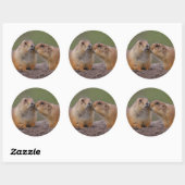 prairiehond ronde sticker (Vel)