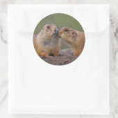 prairiehond ronde sticker (Tas)