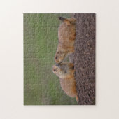 prairiehonden zoenen legpuzzel (Verticaal)