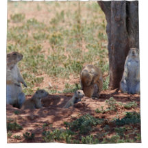 Prairiehondenfamilie