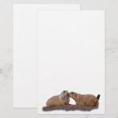 prairiehonkzoen briefpapier (Voorkant / Achterkant)