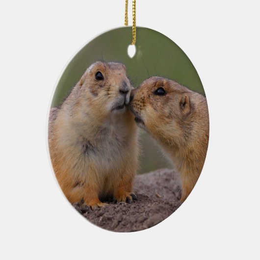 prairiehonkzoen keramisch ornament (Rechts)