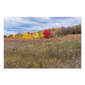 Prairielandschap in de herfst in het Afton State P Foto Afdruk (Voorkant)