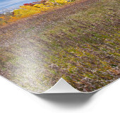 Prairielandschap in de herfst in het Afton State P Foto Afdruk (Hoek)