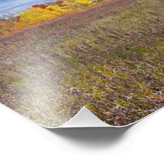 Prairielandschap in de herfst in het Afton State P Foto Afdruk (Hoek)