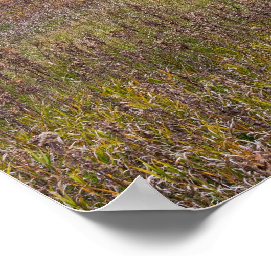 Prairielandschap in de herfst in het Afton State P Poster (Hoek)