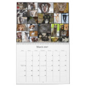 Prairie's Edge Humane Society 2012 Large Kalender (Mar 2027)