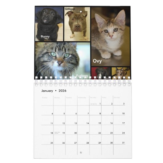 Prairie's Edge Humane Society 2012 Small Kalender (Jan 2026)
