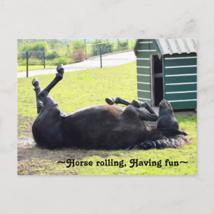 Praktisch Briefkaart voor het walsen van paarden